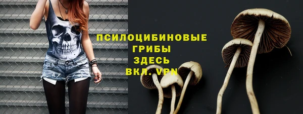 марки lsd Бугульма