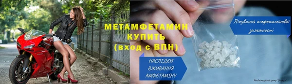 трава Бородино