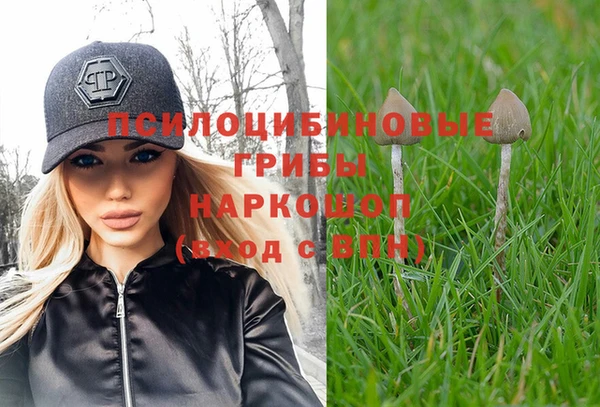марки lsd Бугульма