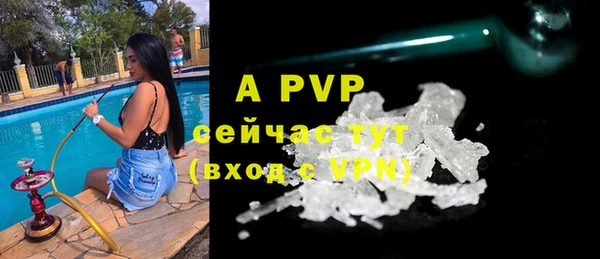 трава Бородино